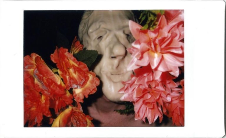 work from the series I Did Not Have Sexual Relations With That Woman, fuji instax, 2013